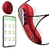 Too sweet long distance panty vibrator
