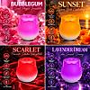 Blossom Rose Collection